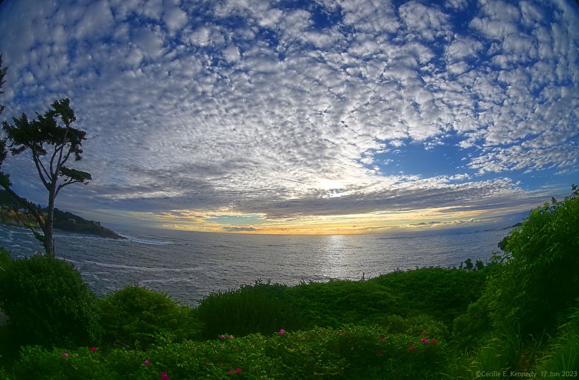 Community photo by Cecille Kennedy | Depoe Bay, Oregon