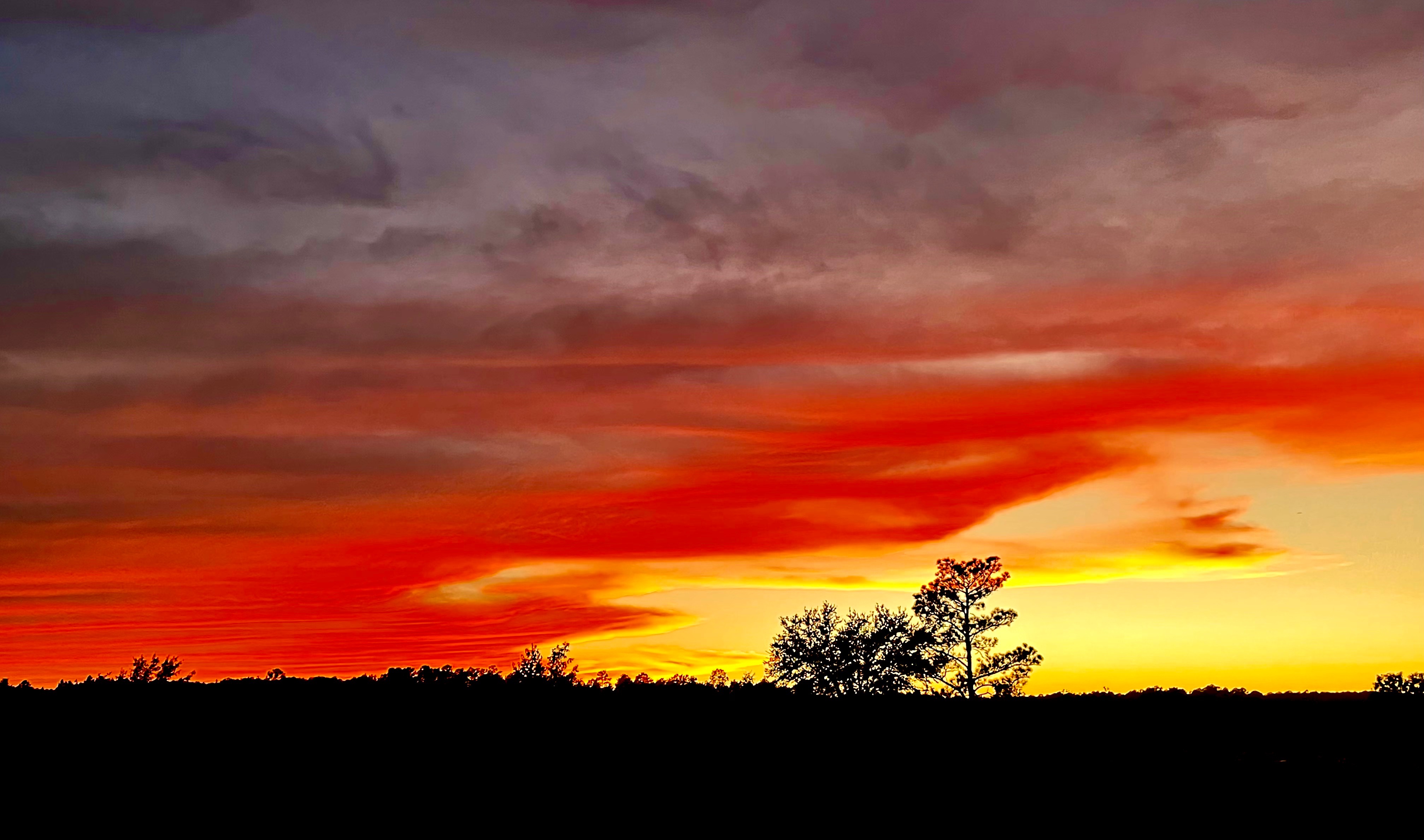 Community photo by A Plunkett | Aiken, SC USA