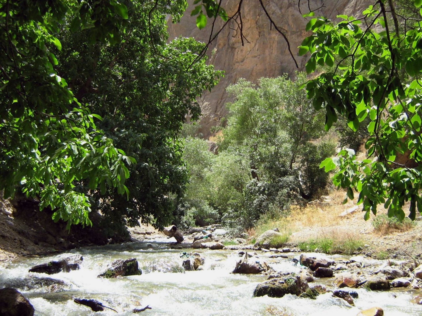 Community photo entitled  by Hassan Dadashi . arani on 07/23/2023 at Lorestan province