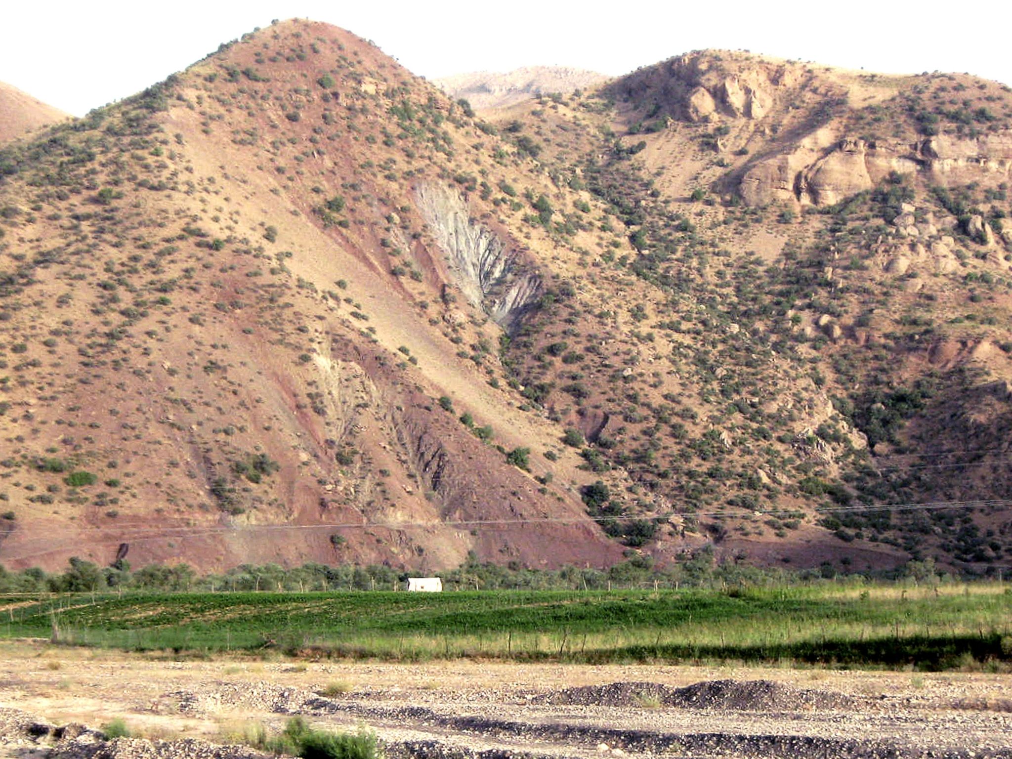 Community photo entitled  by Hassan Dadashi . arani on 07/23/2023 at Lorestan province