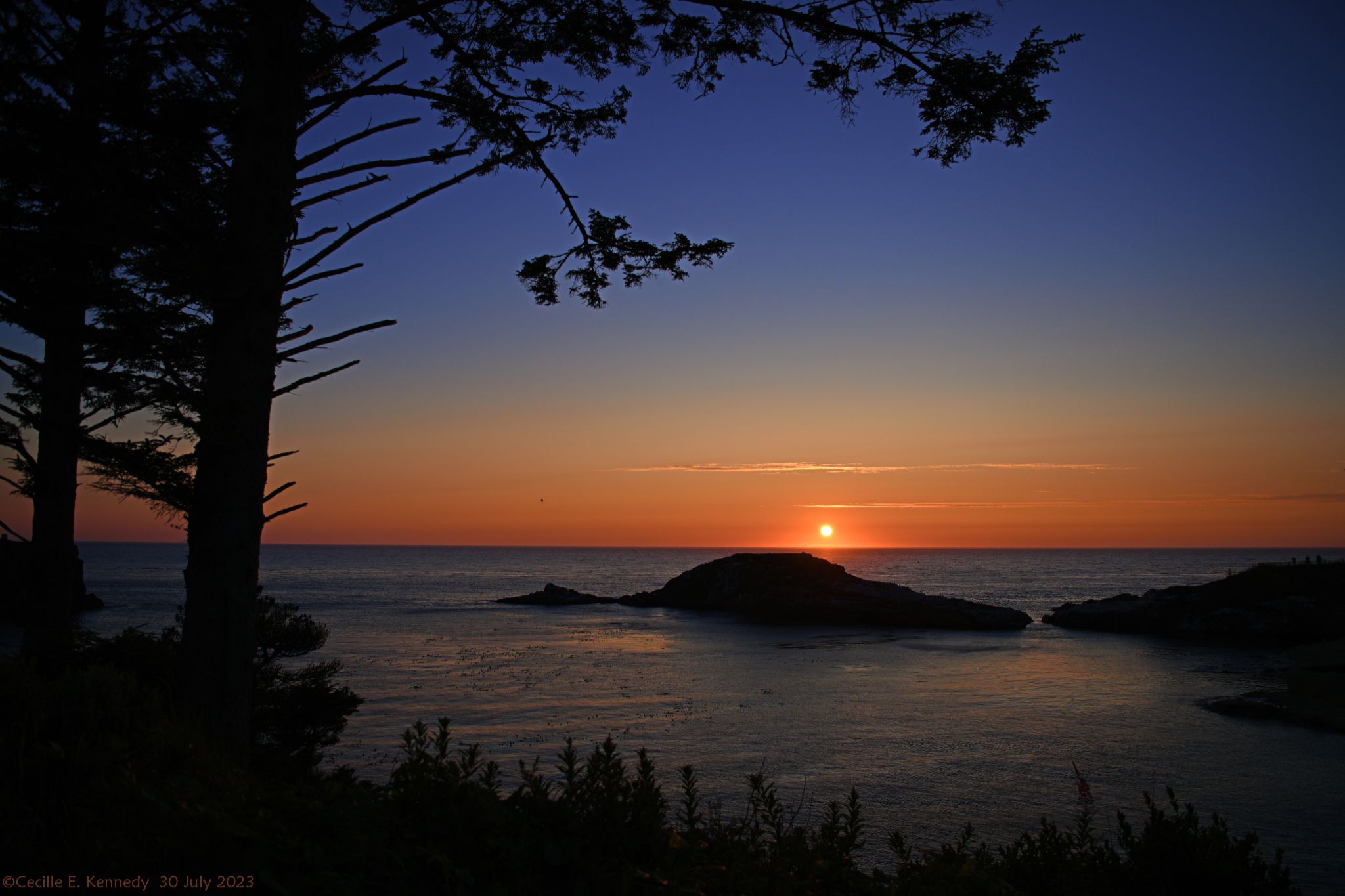 Community photo entitled  by Cecille Kennedy on 07/30/2023 at Pirate Cove, Oregon