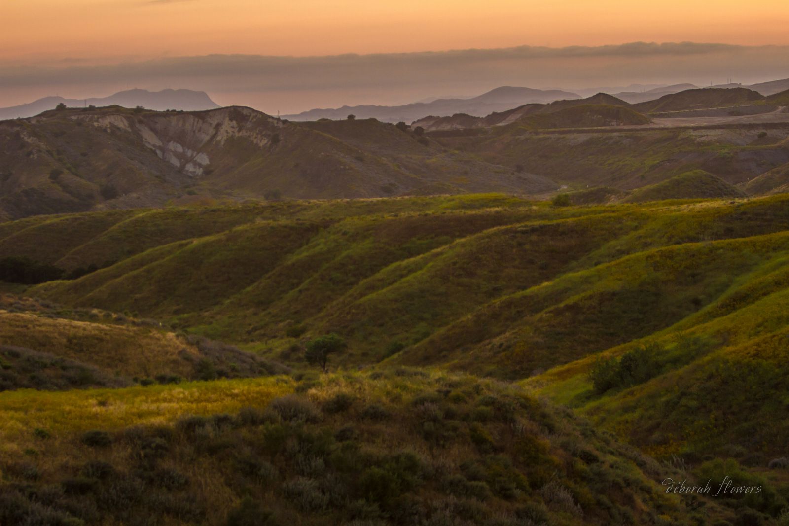 Community photo by Deborah Flowers | Simi Valley, California, USA