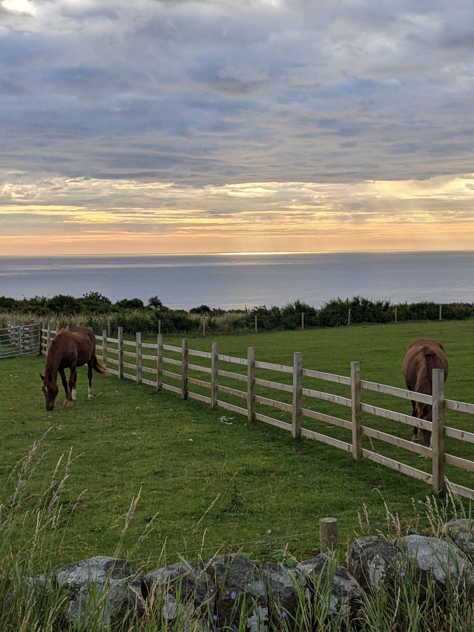 Community photo entitled  by Kevan Hubbard on 07/18/2023 at Ravenscar, North Yorkshire Moors National Park, England