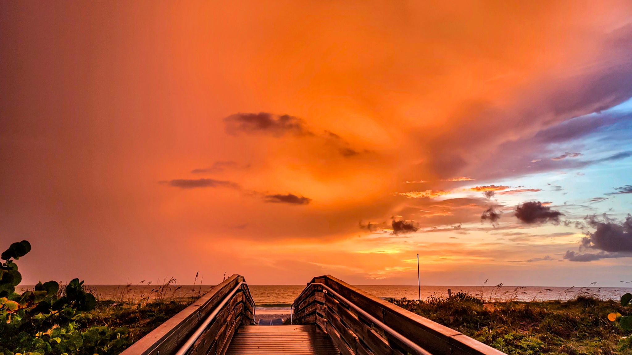 Community photo entitled  by Christy Mandeville on 07/22/2023 at Indian Rocks Beach