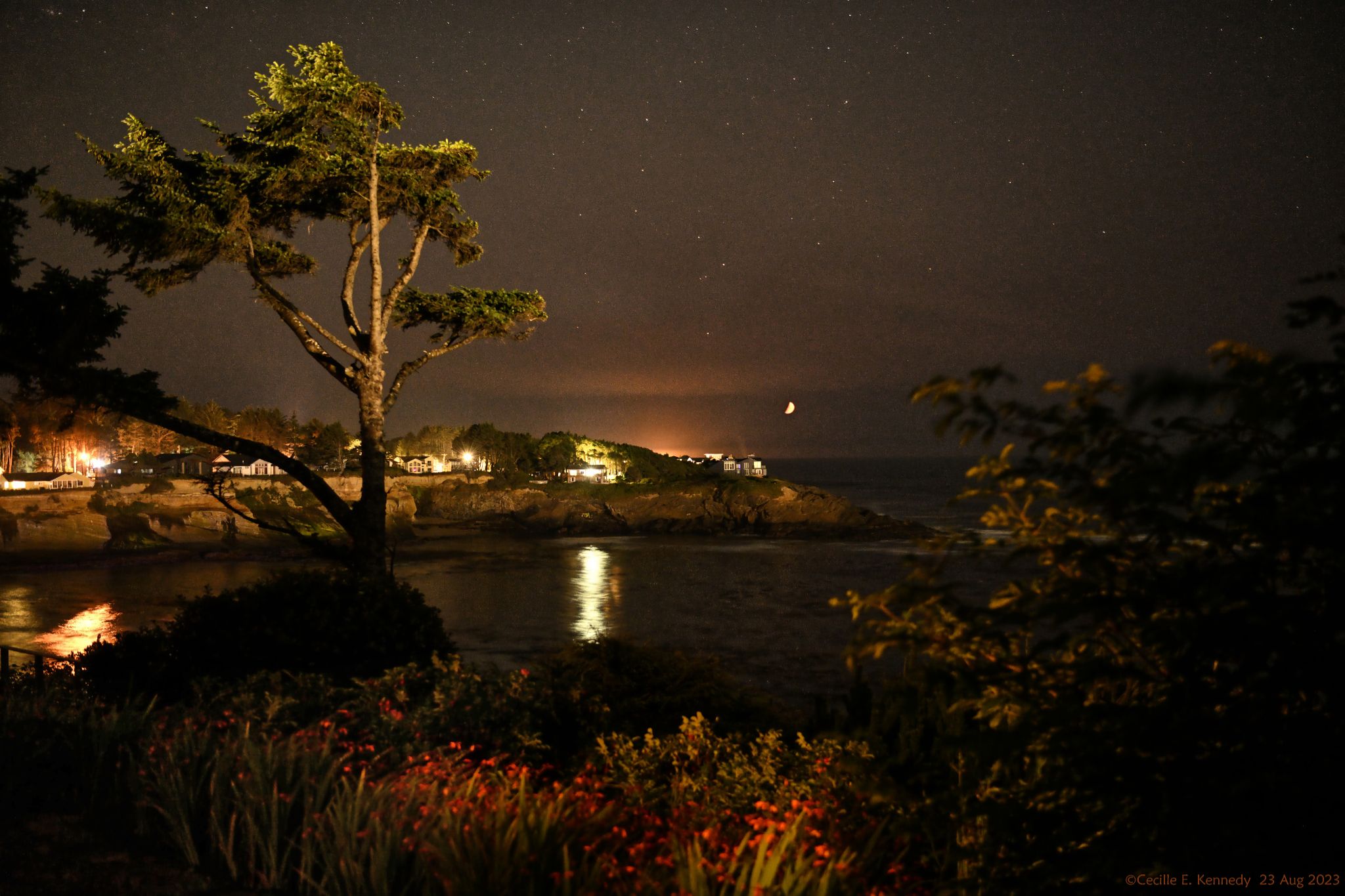 Community photo entitled  by Cecille Kennedy on 08/23/2023 at South Point, Depoe Bay, Oregon