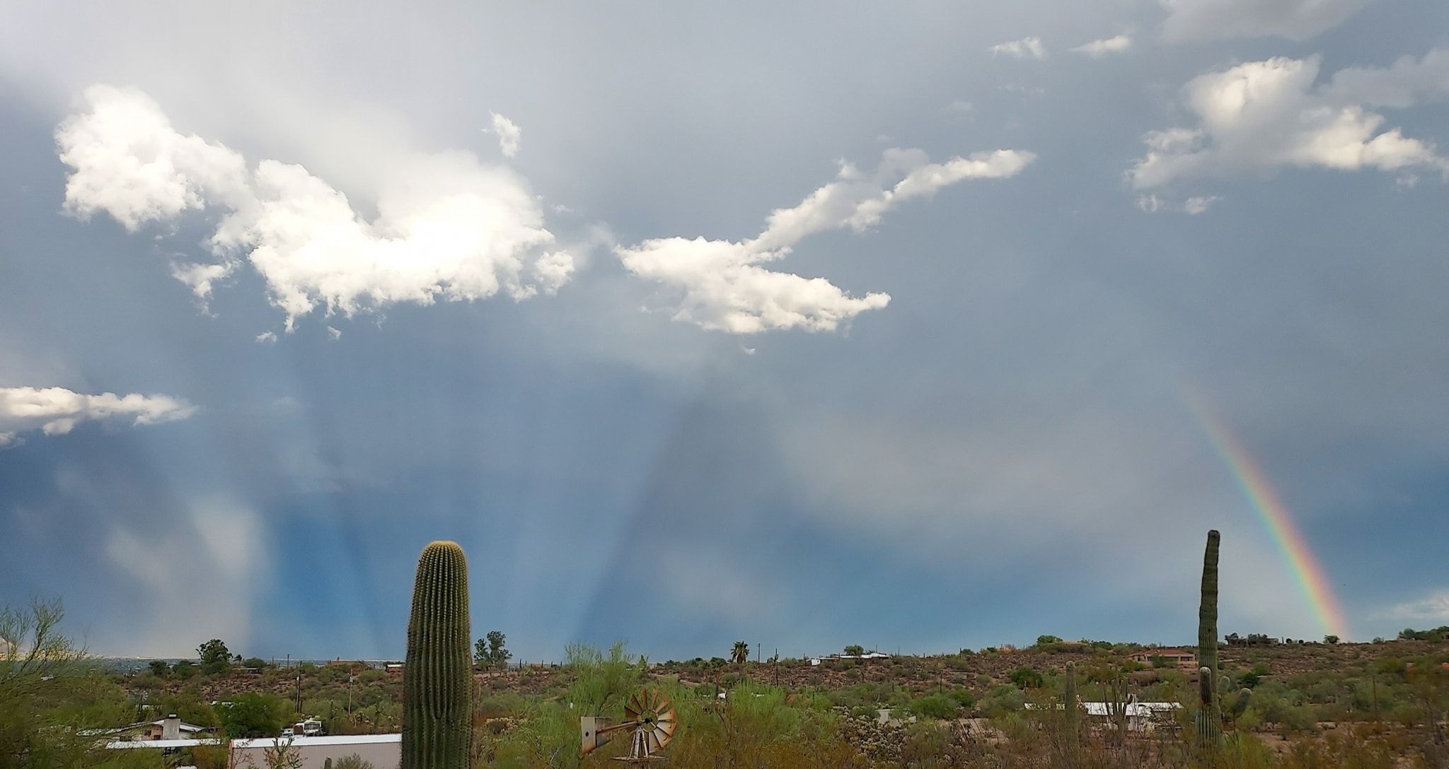 Community photo entitled  by Doug Groenhoff on 08/08/2023 at Marana, Arizona, USA