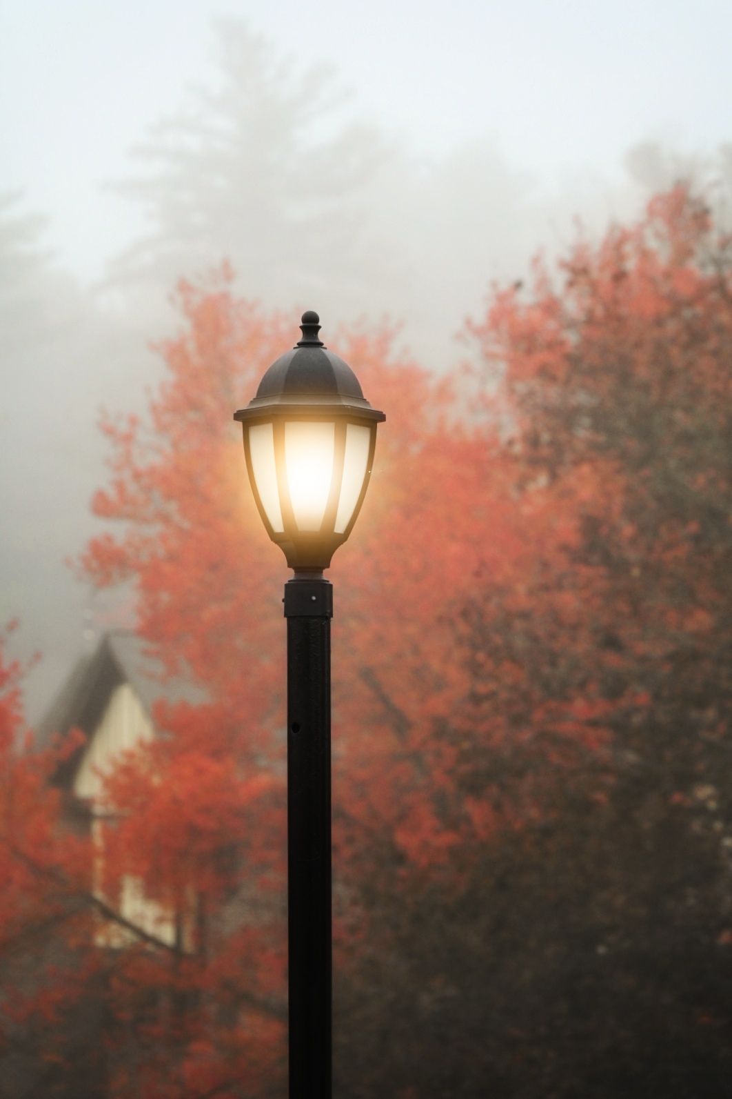 Community photo by Janardan Upadhyay | Nashua NH