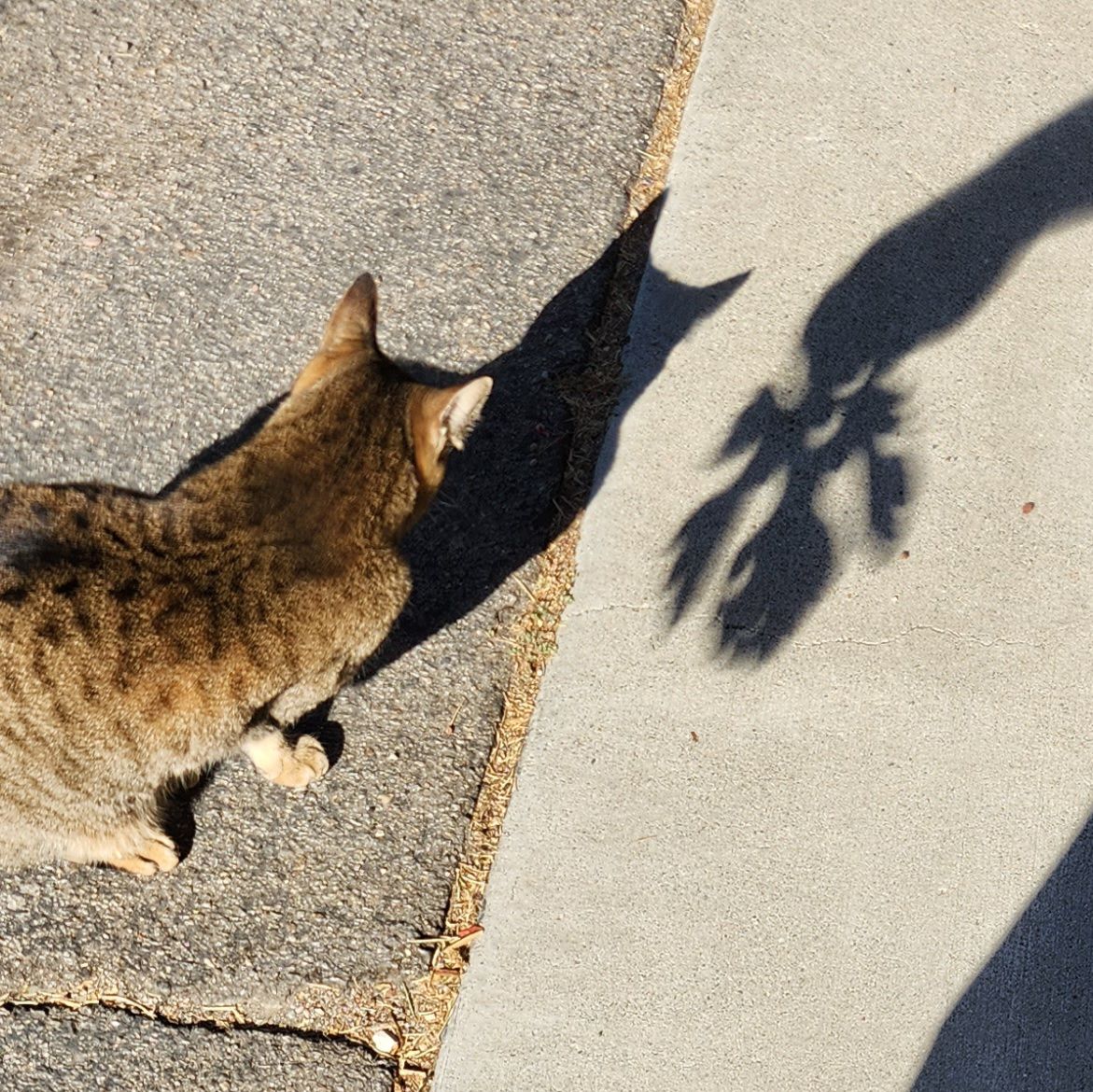 Community photo entitled  by Kevin Lodge on 10/14/2023 at Paso Robles, CA, USA