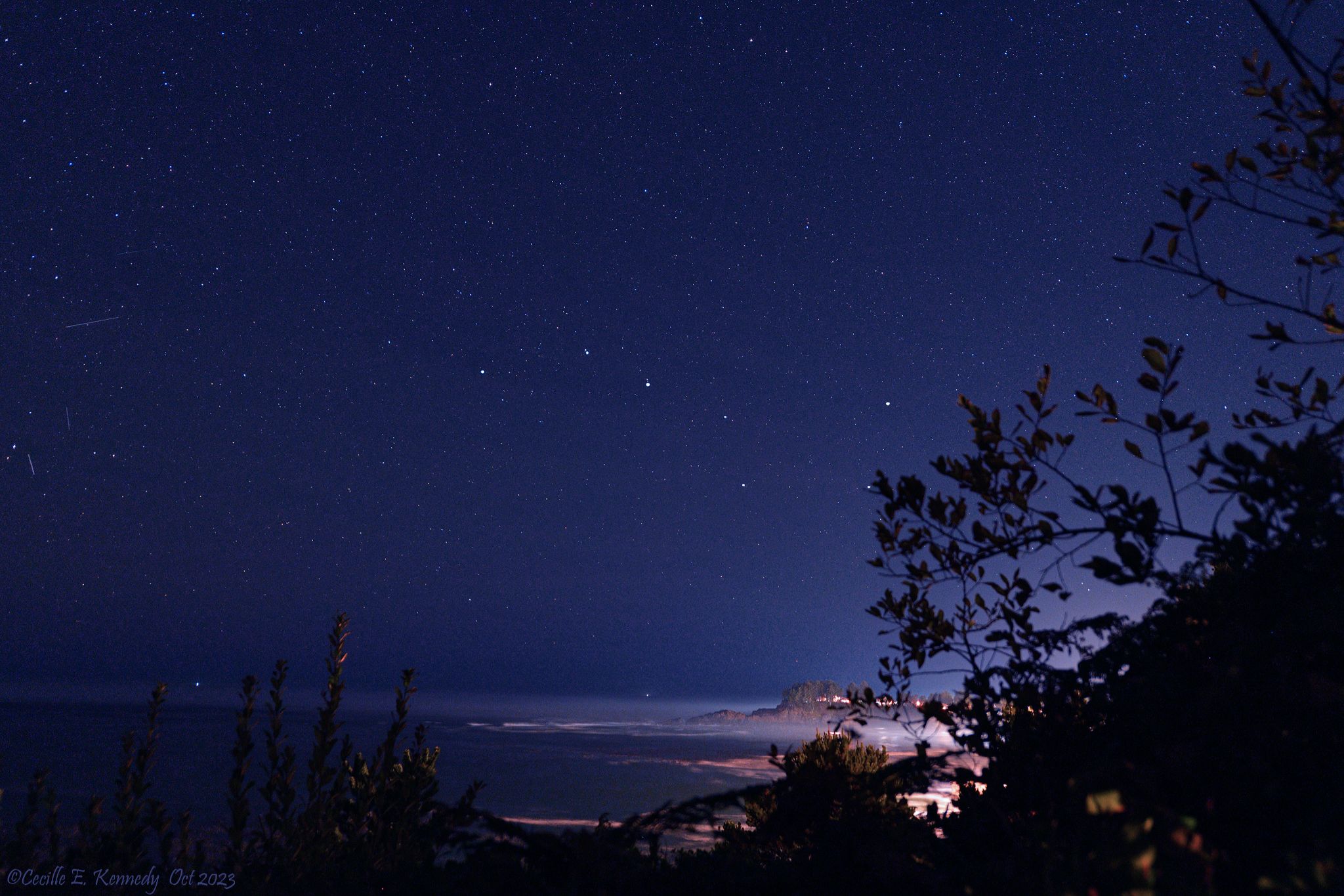 Community photo by Cecille Kennedy | Oregon Coast, Oregon