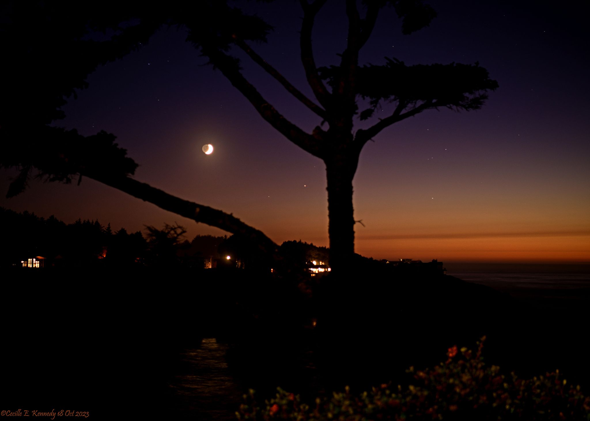 Community photo entitled  by Cecille Kennedy on 10/18/2023 at Depoe Bay, Oregon