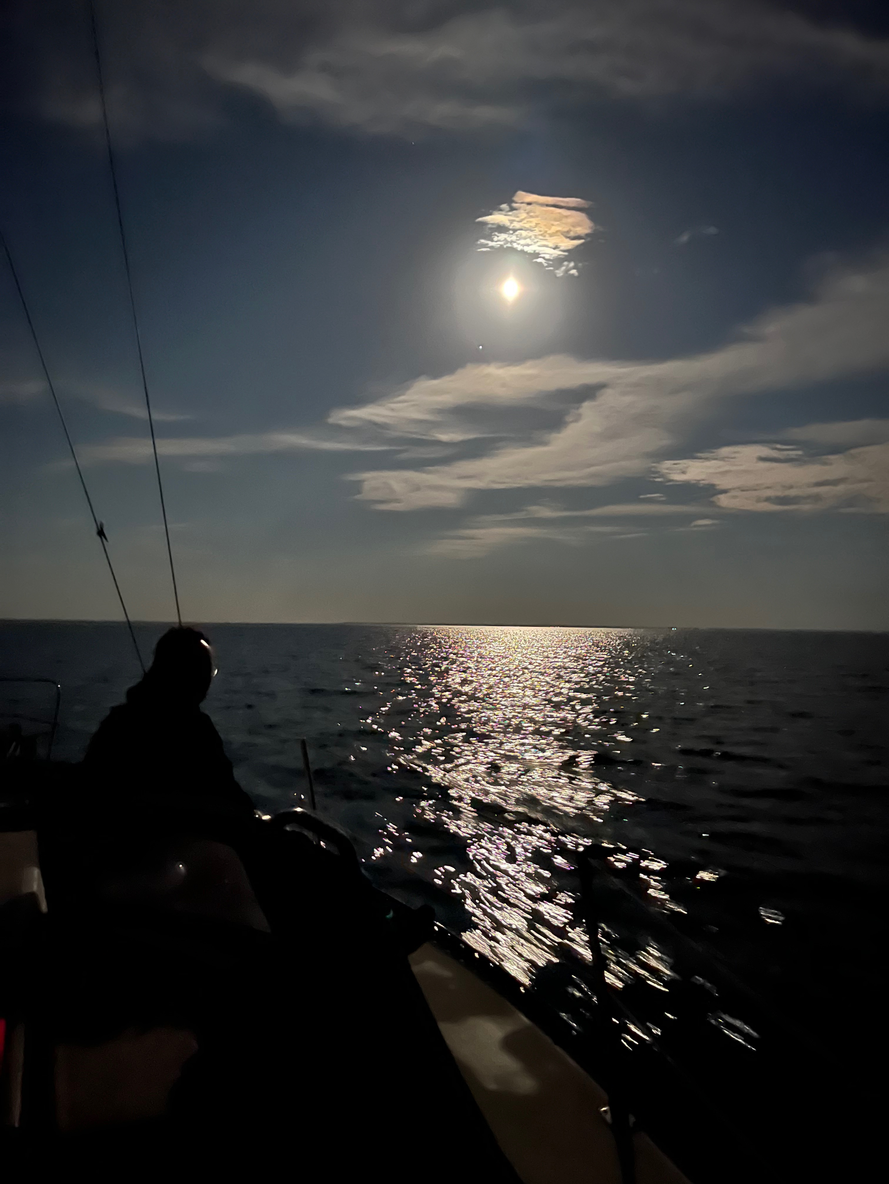 Community photo by Steve Anderson | Chesapeake Bay, off the Calvert Cliffs