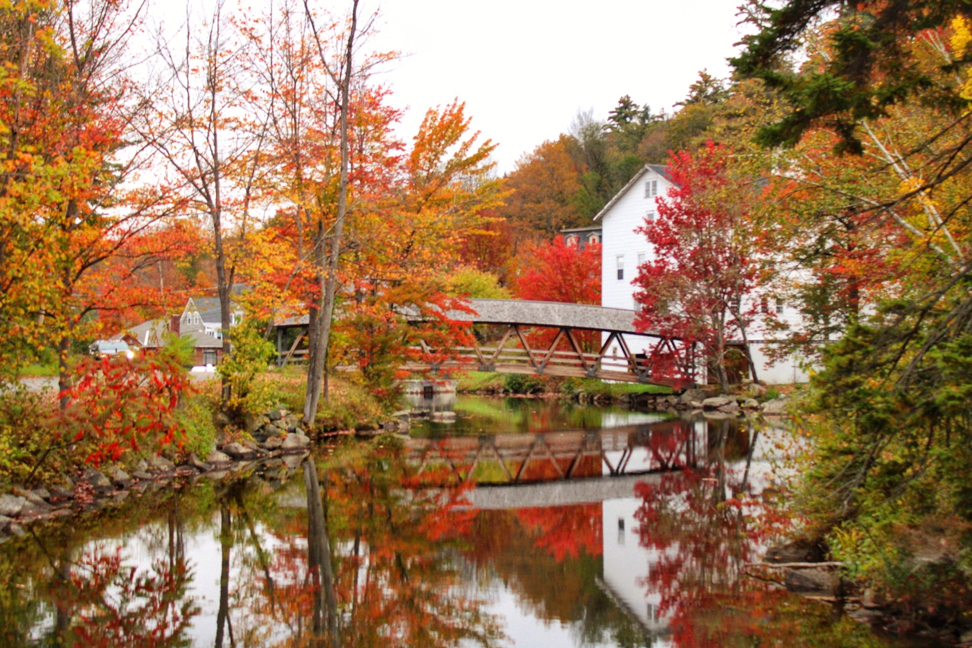 Community photo entitled  by Chrissy DiStefano on 10/06/2023 at Claremont New Hampshire usa