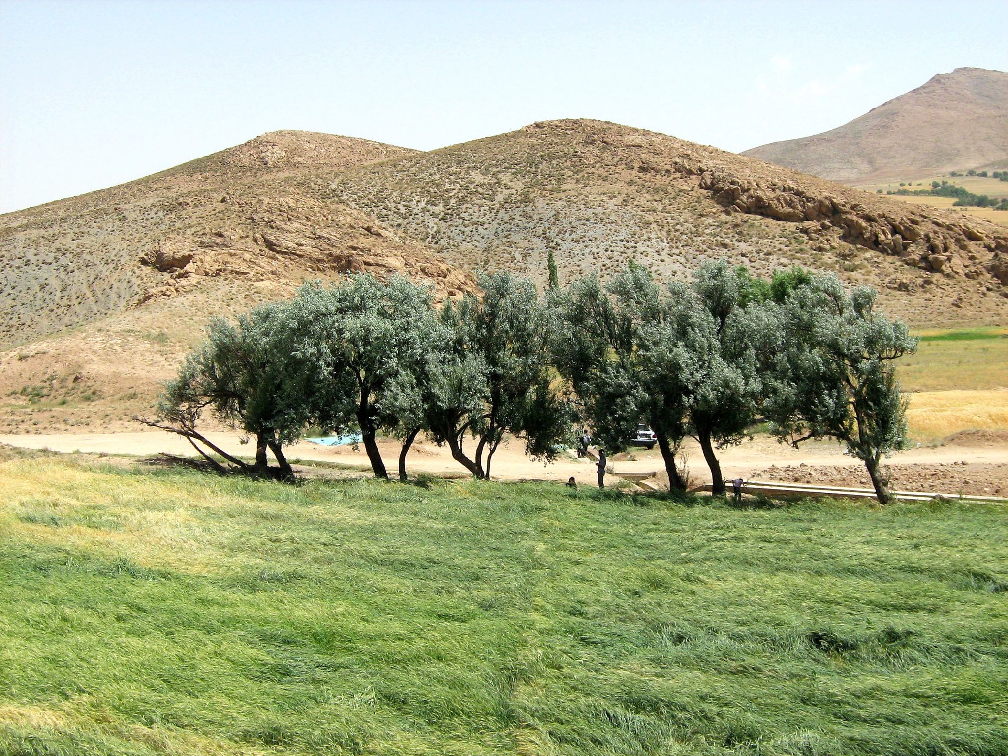 Community photo by Hassan Dadashi . arani | Hamadan province