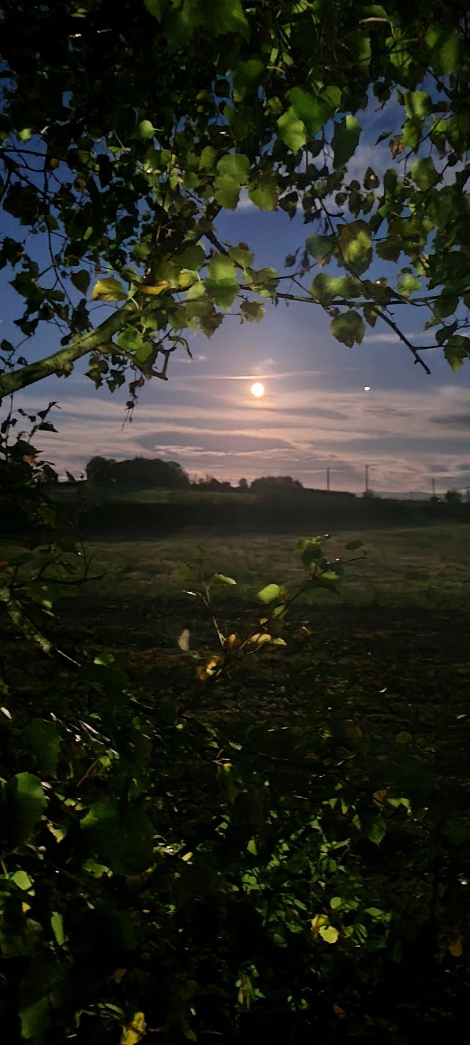 Community photo by Rita Aroua | Carlow Ireland