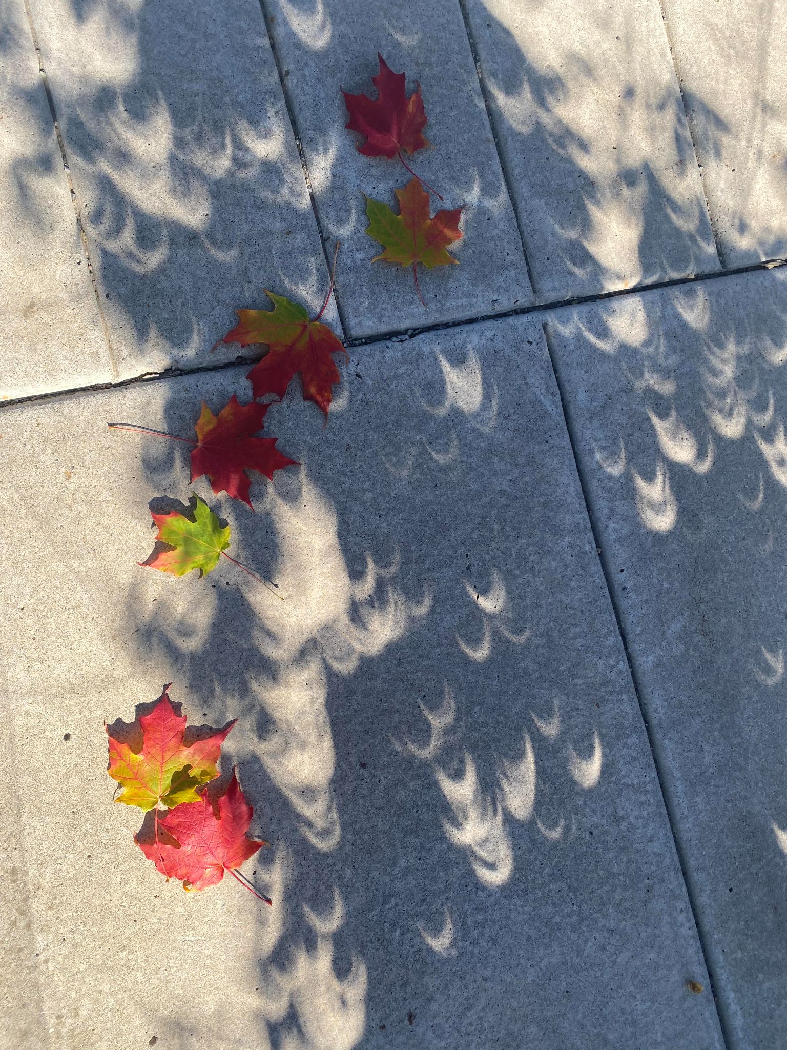 Community photo by Halla Garrity | Durango, Colorado  USA