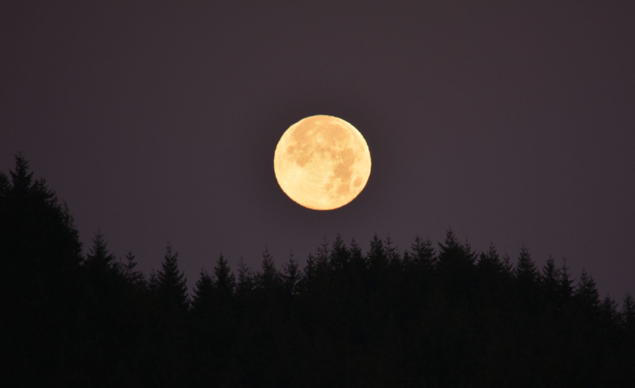 Community photo by Rhonda Black | Reedsport, Oregon