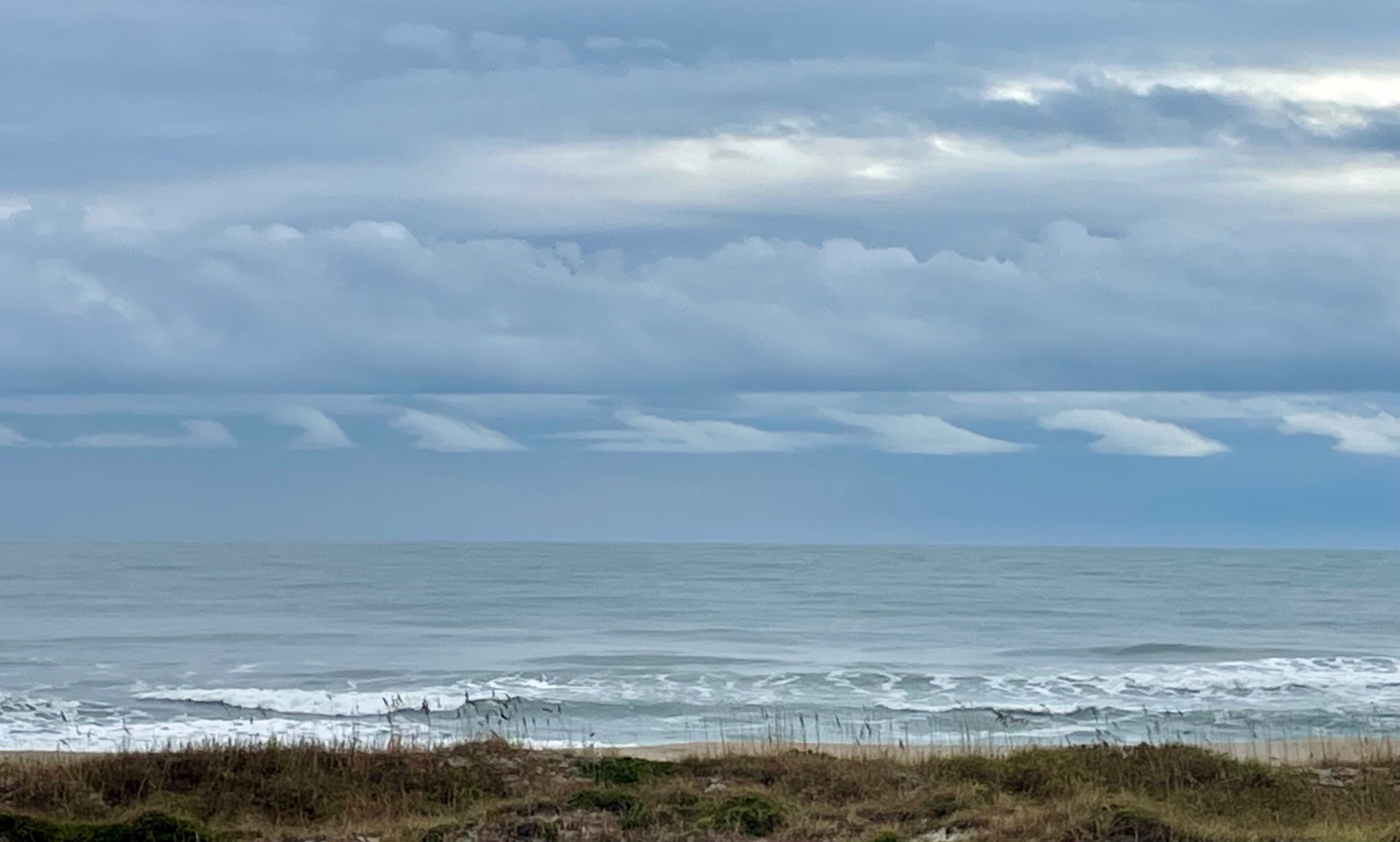 Community photo entitled  by Erin Brownfield on 11/22/2023 at Wrightsville Beach NC