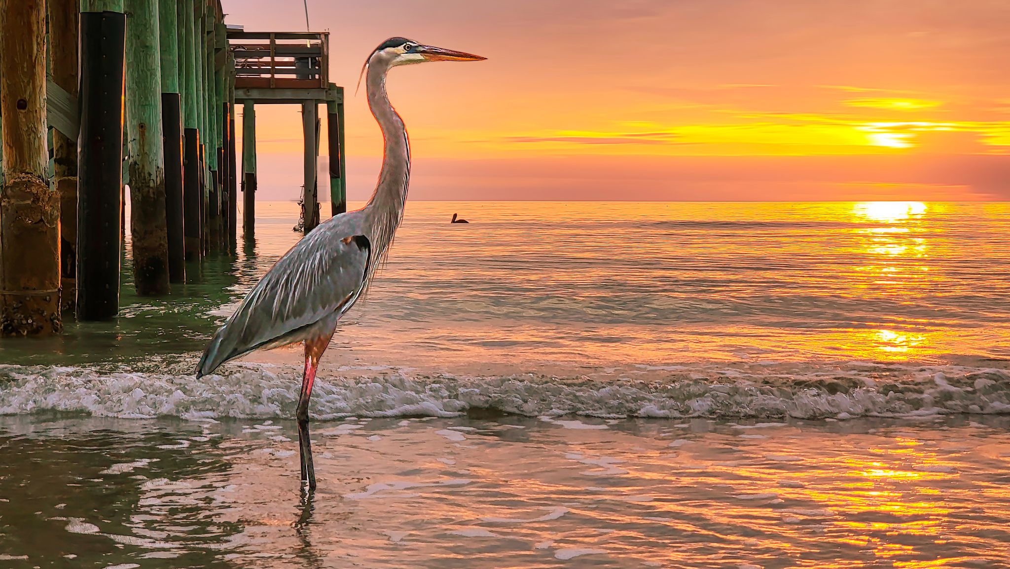 Community photo by Christy Mandeville | Redington Beach, Florida