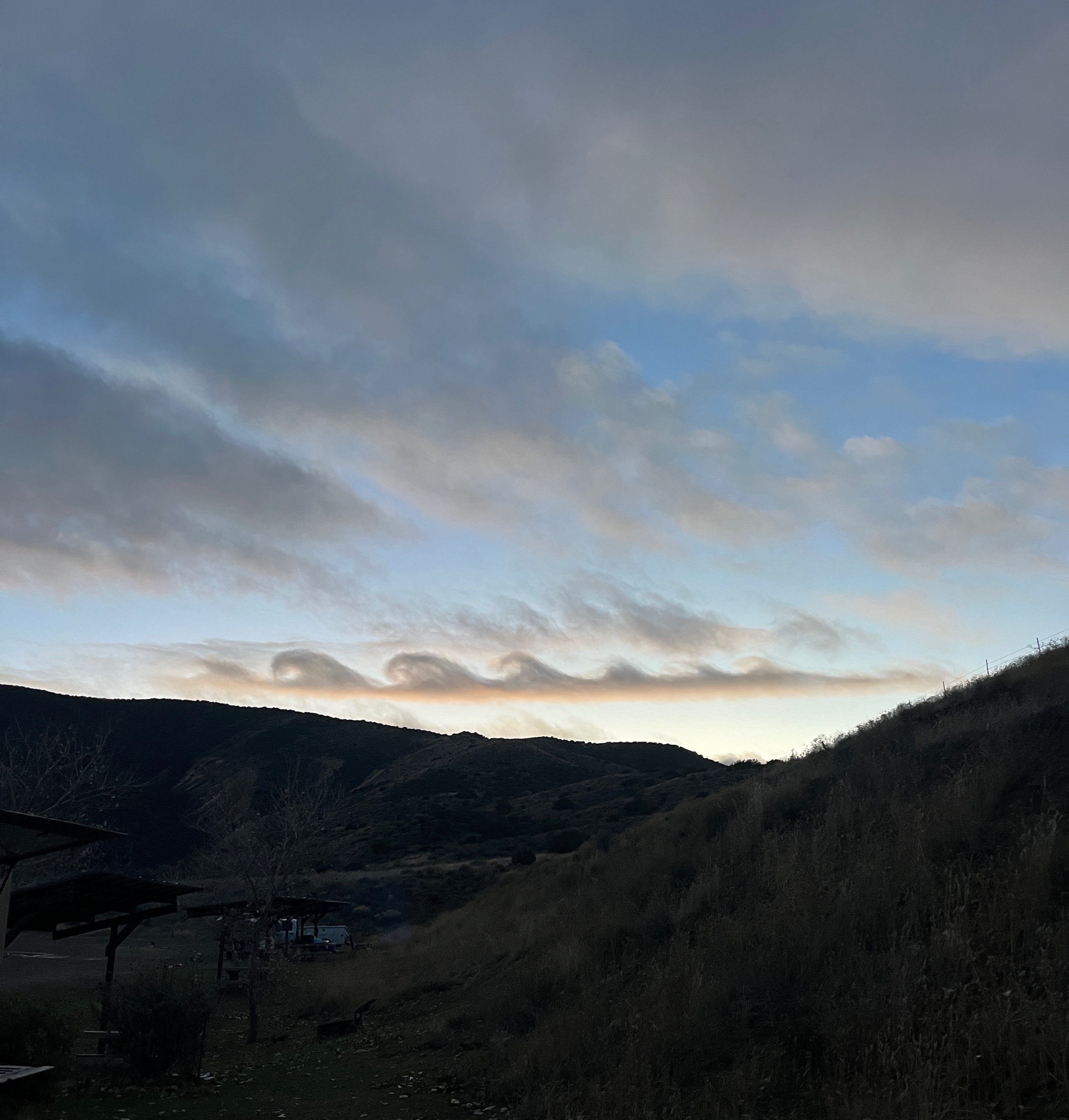 Community photo entitled  by Laurel Schwartzkopf on 12/30/2023 at Carrizo Plain, CA USA