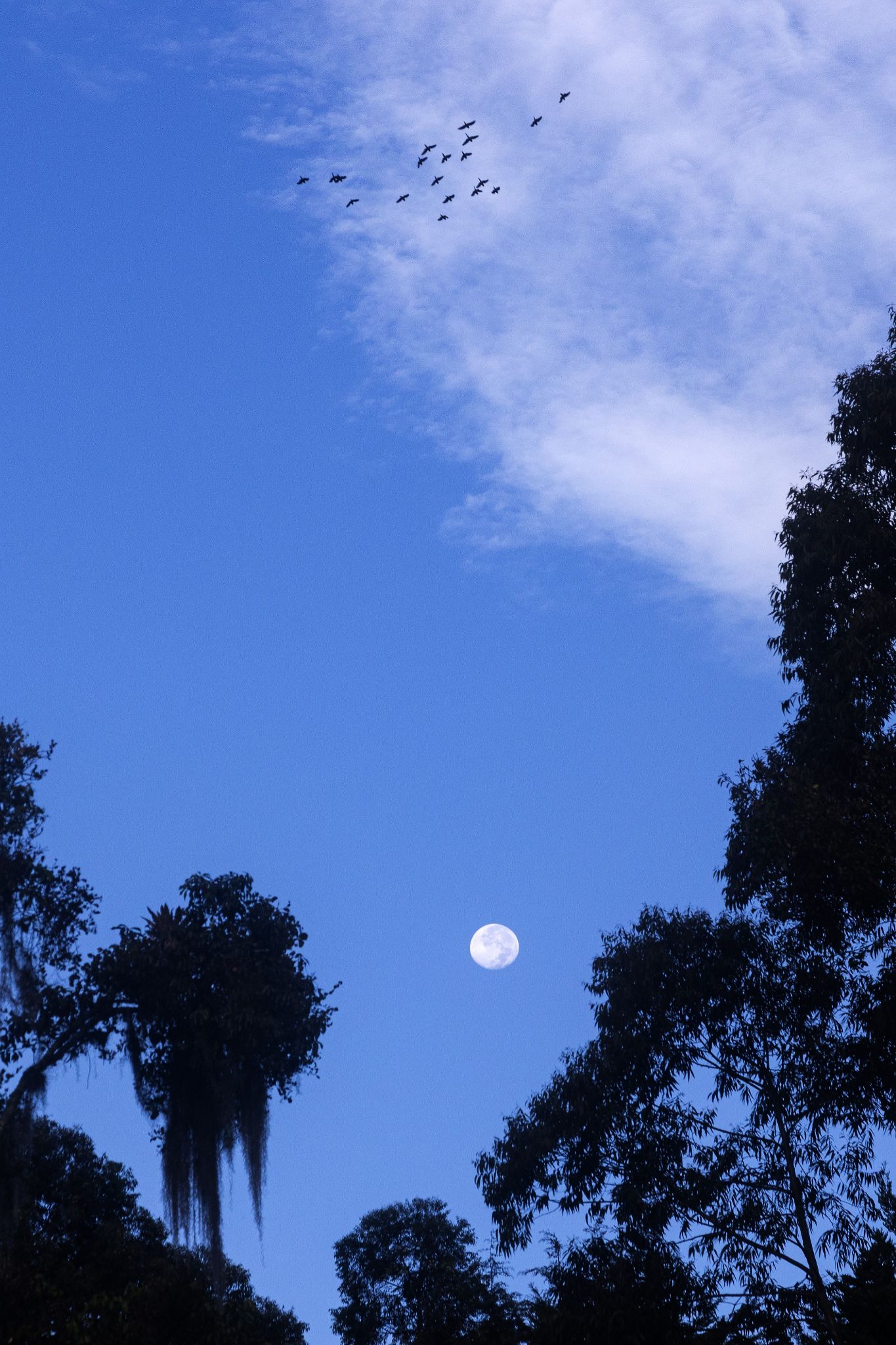 Community photo entitled  by Juan-Camilo Suarez on 12/29/2023 at La Estrella, Colombia