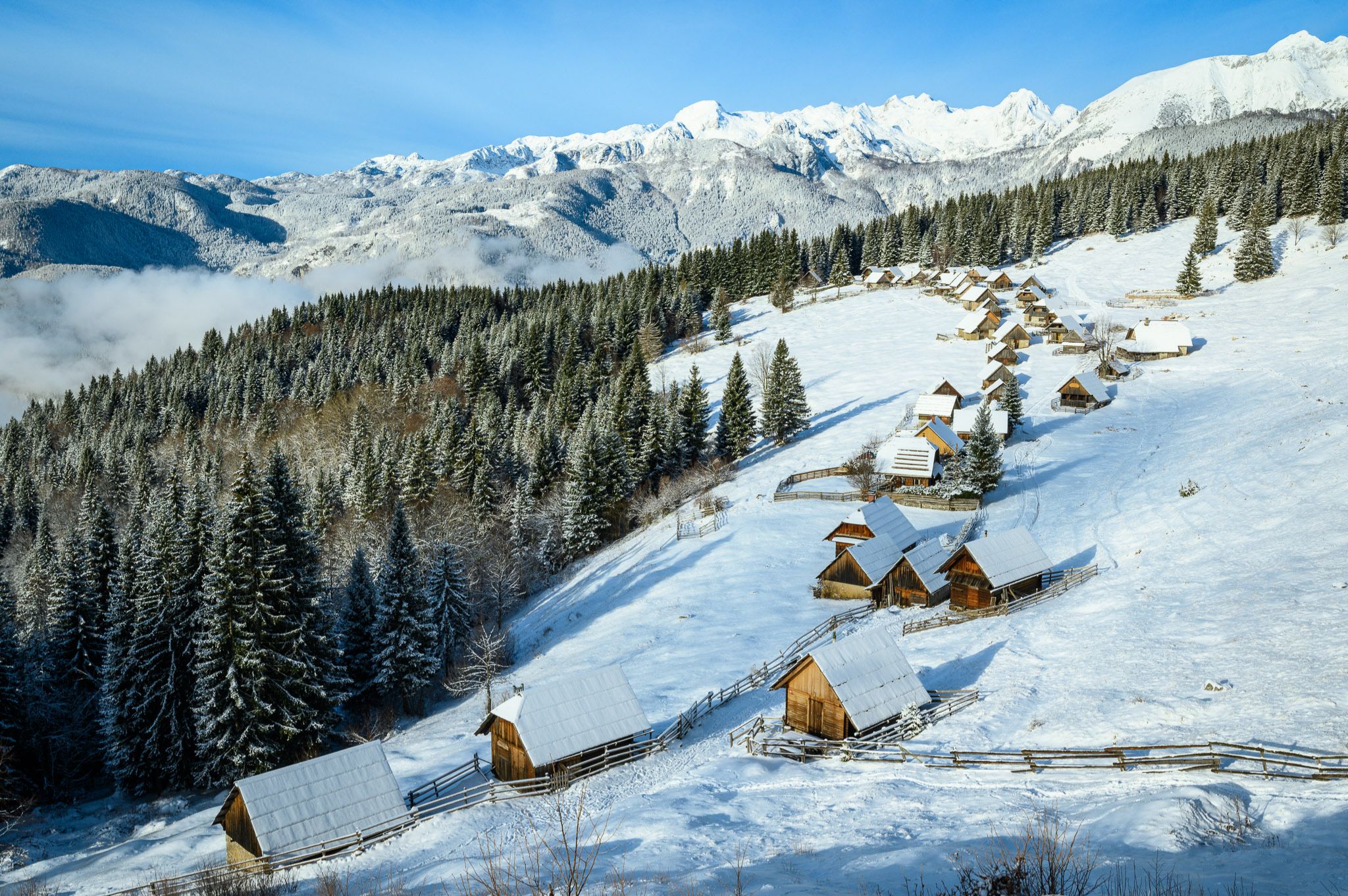 Community photo entitled  by Matjaž Mazi on 12/04/2023 at Zajamniki meadows, Bohinj, Slovenia