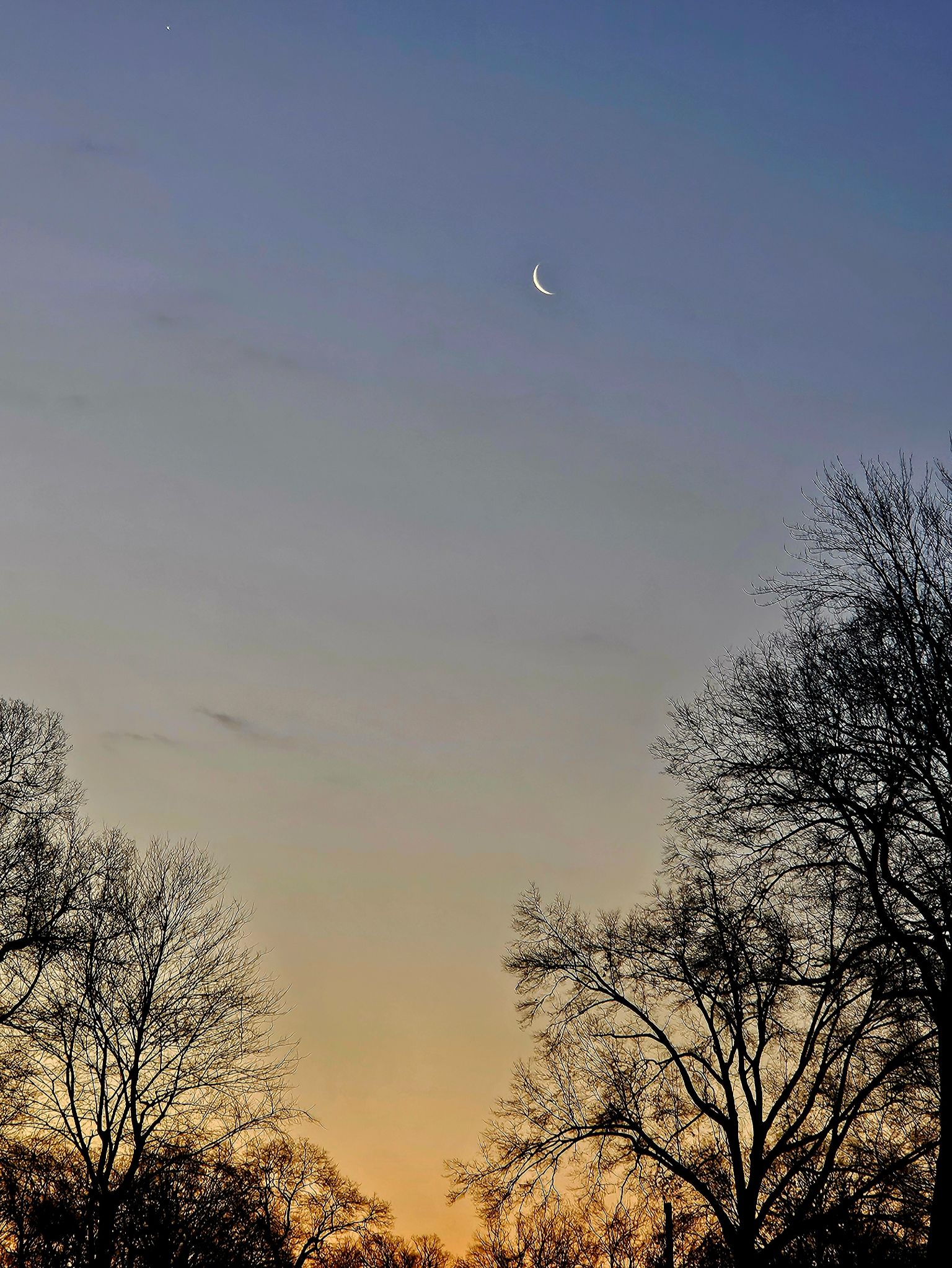 Community photo by C. Gentile | Florham Park,NJ USA