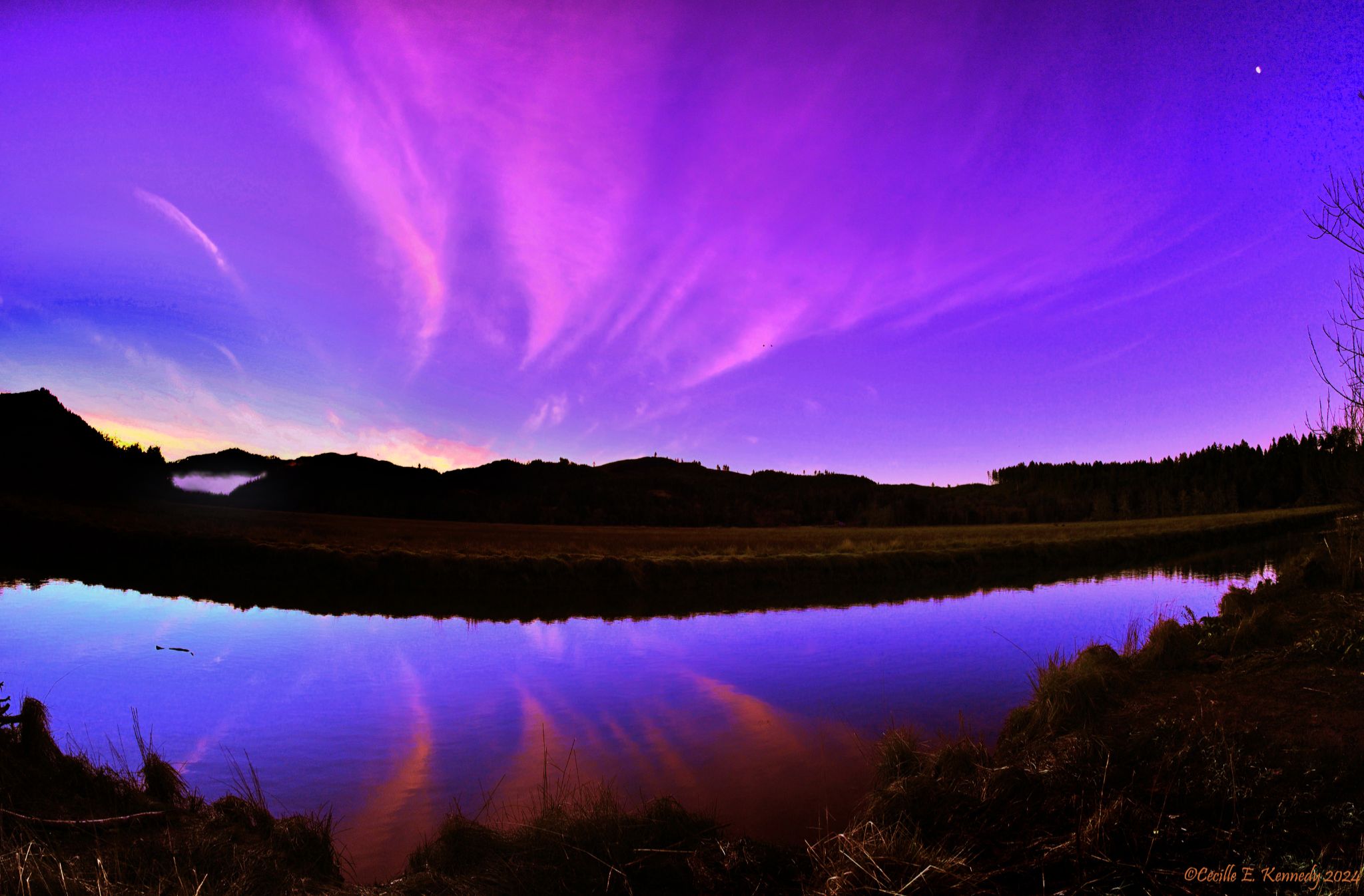 Community photo by Cecille Kennedy | Siletz Bay Wildlife Refuge, Oregon