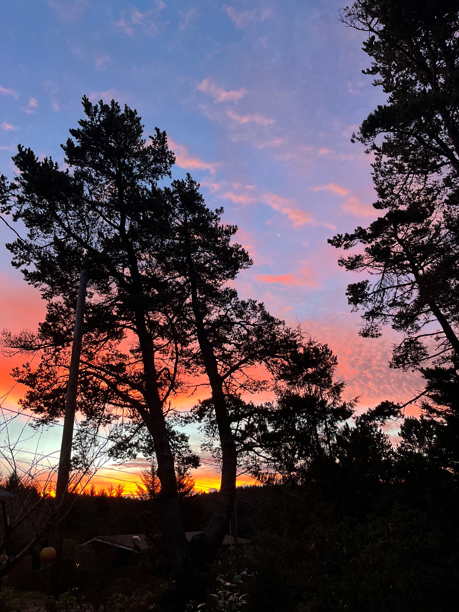 Community photo by Steve Griffiths | Lincoln City, Oregon, USA