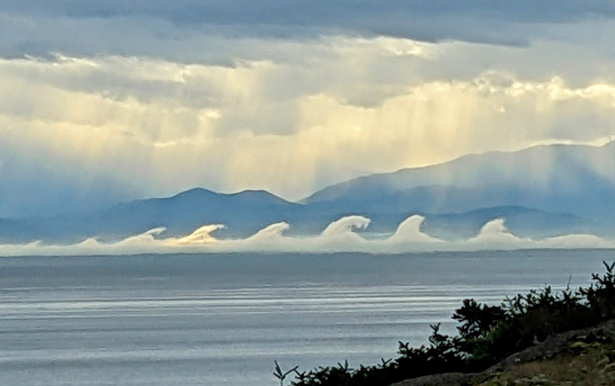 Community photo entitled  by Jenny Wilson on 01/30/2024 at San Juan Island in Washington State USA .... looking towards the Olympic Peninsula