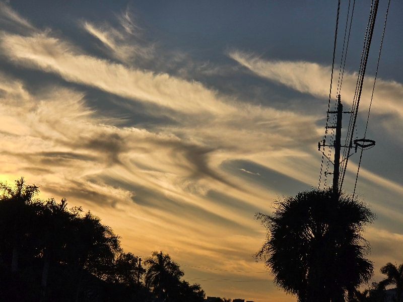 Community photo by Liz Schoeppe | Naples, Florida, USA