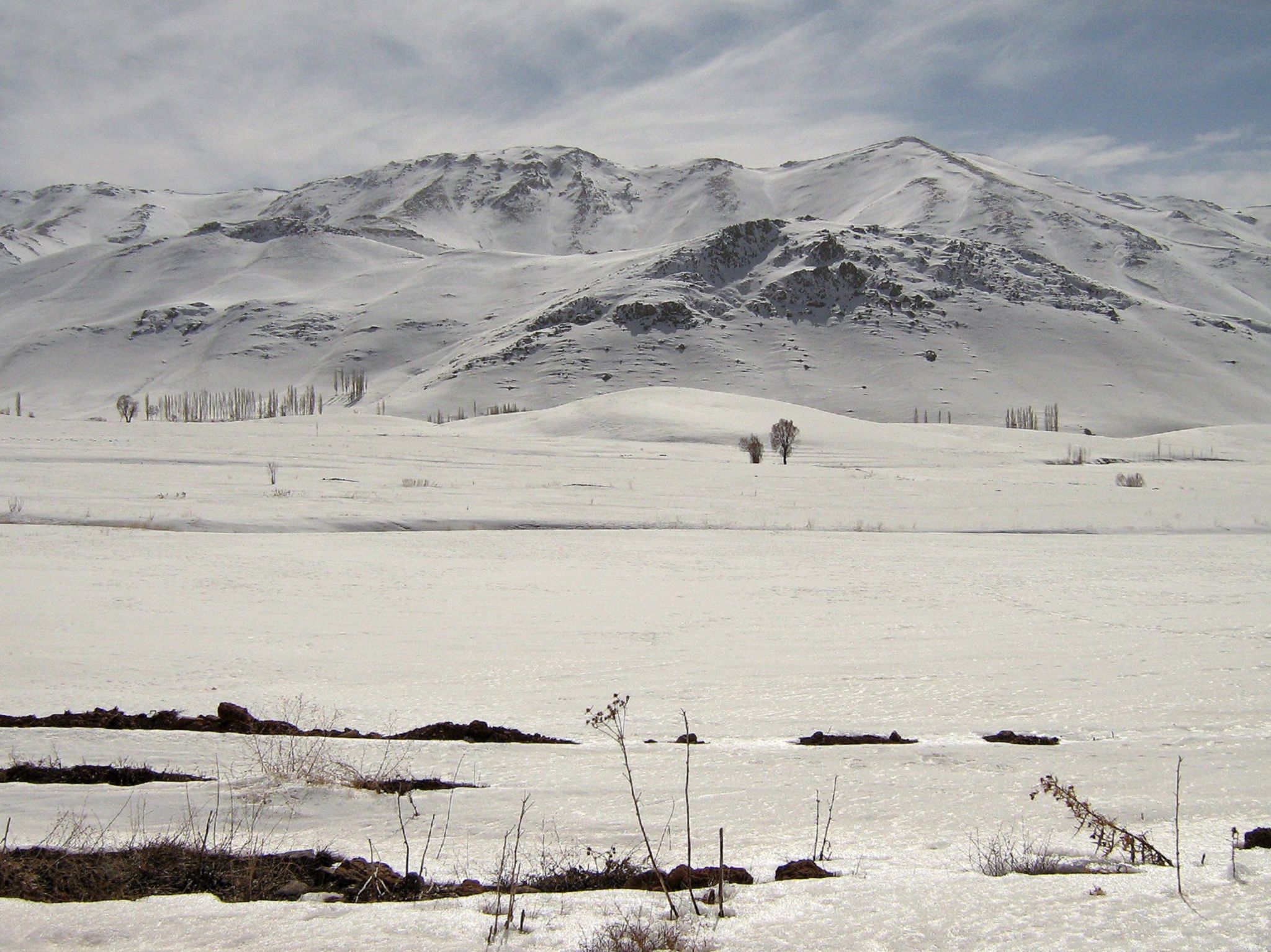 Community photo entitled  by Hassan Dadashi . Arani on 02/22/2024 at Esfahan province. Iran