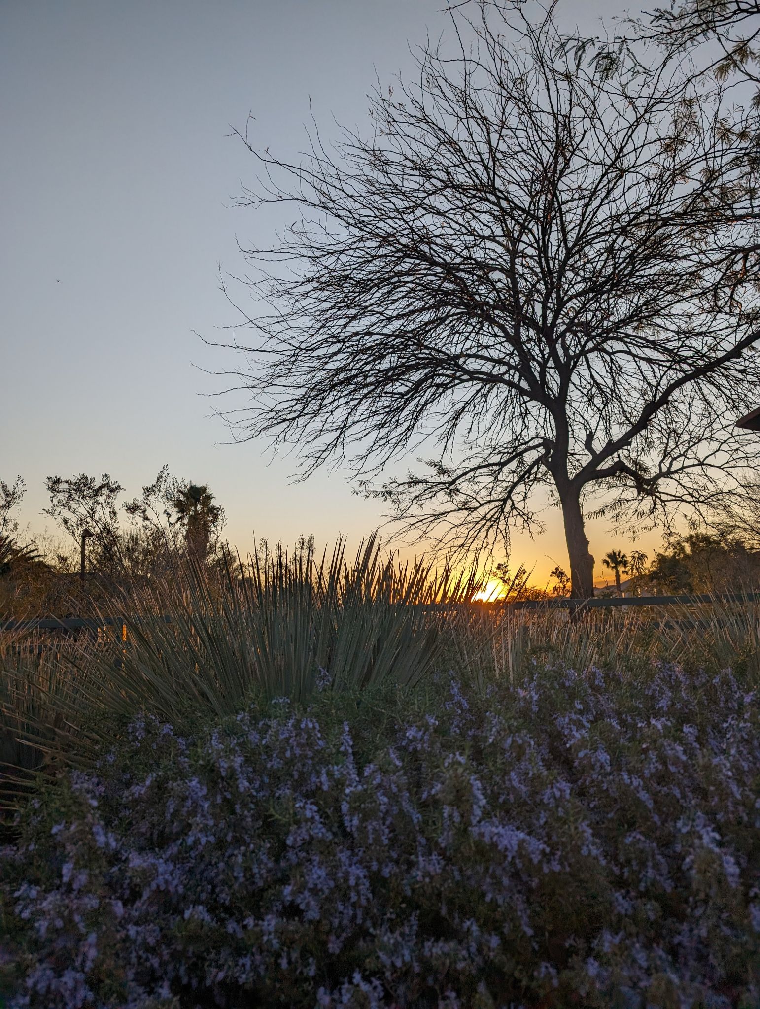 Community photo by Craig Ruark | Las Vegas, NV