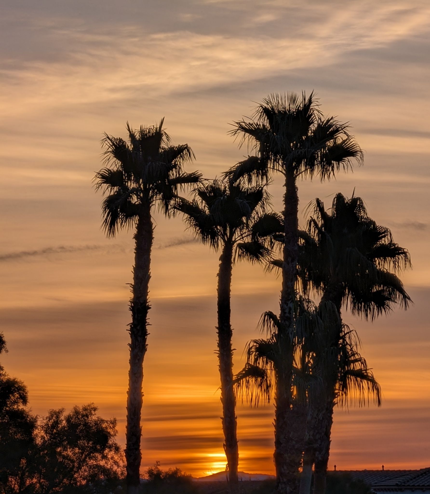 Community photo by Craig Ruark | Las Vegas, NV