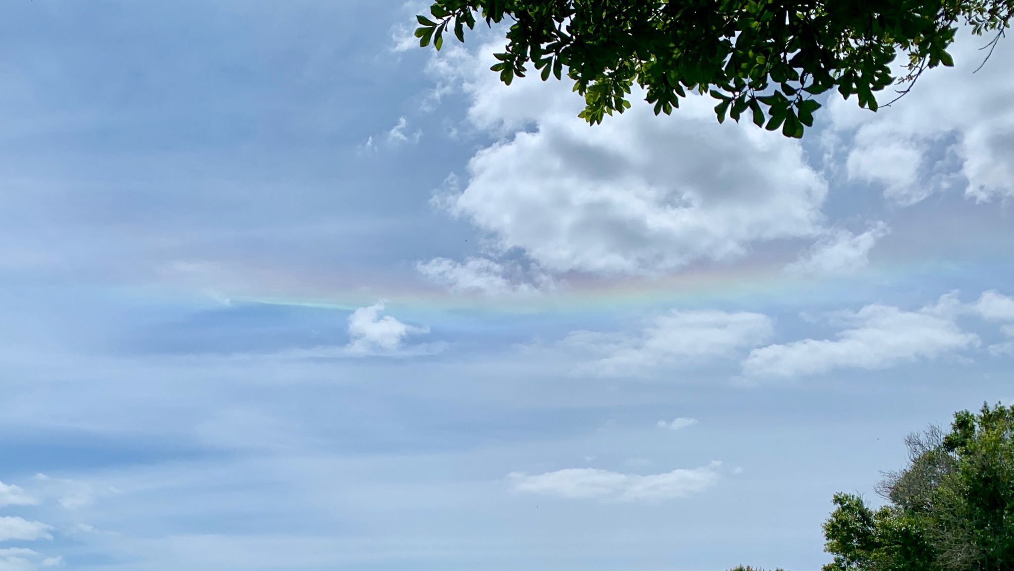 Community photo entitled  by Kathy Morton on 04/02/2024 at Vero Beach, FL